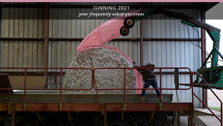 Farmers working on cotton gin machinery during the 2021 ginning season, carefully processing freshly harvested cotton.