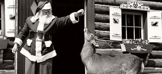 Santa And His Deer