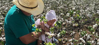 A family farm hand passing down cotton-growing traditions to younger generations, with a warm, rustic backdrop of cotton fields.